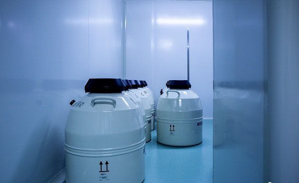 标题三代试管助孕移植后第22天突然出血，产筛怎么检查