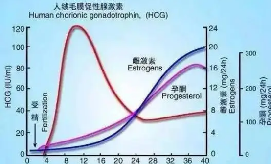 医学判断肌醇对个别人群有害！附试管省钱方法